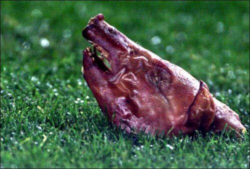 ჟოან გასპარი: ფიგუ მოღალატეა, მას ჩადენილს არასდროს ვაპატიებ!