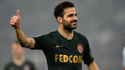 ფაბრეგასმა კრიტიკას პასუხი გასცა