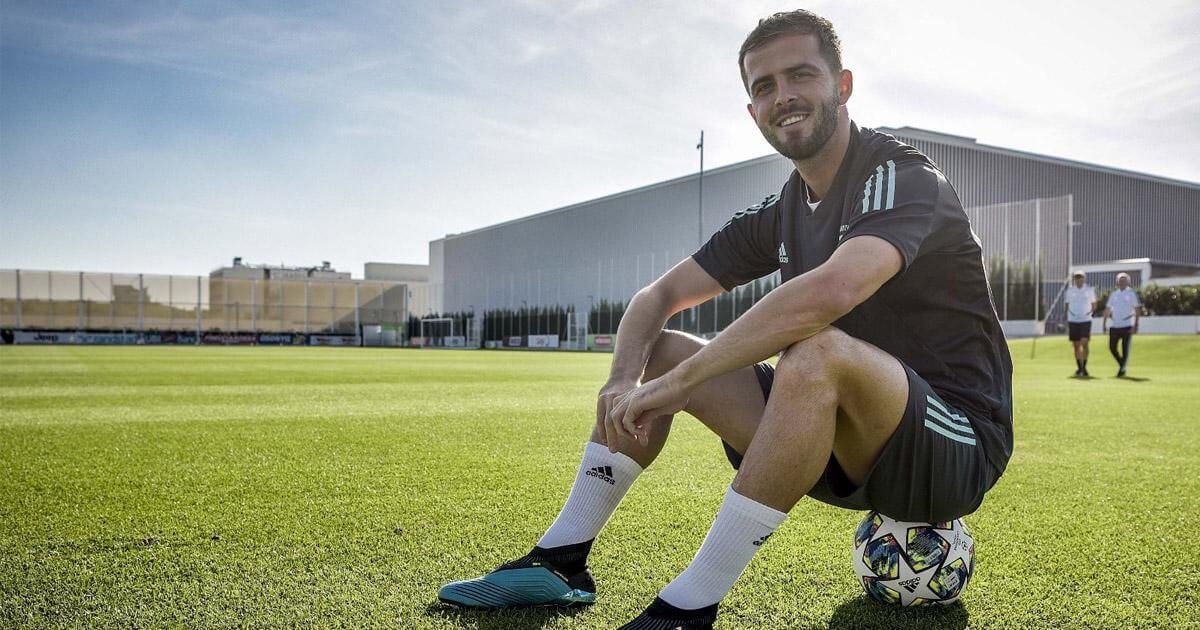 სტატისტიკა: რამდენად ეფექტურია რეალურად პიანიჩი?