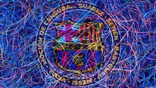 "ბარსაში" კვლავ ქაოსია