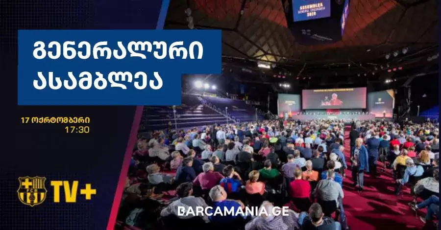 გენერალური ასამბლეა