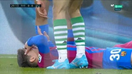 გავი საავადმყოფოში გადაყვანას არ საჭიროებს - RAC1